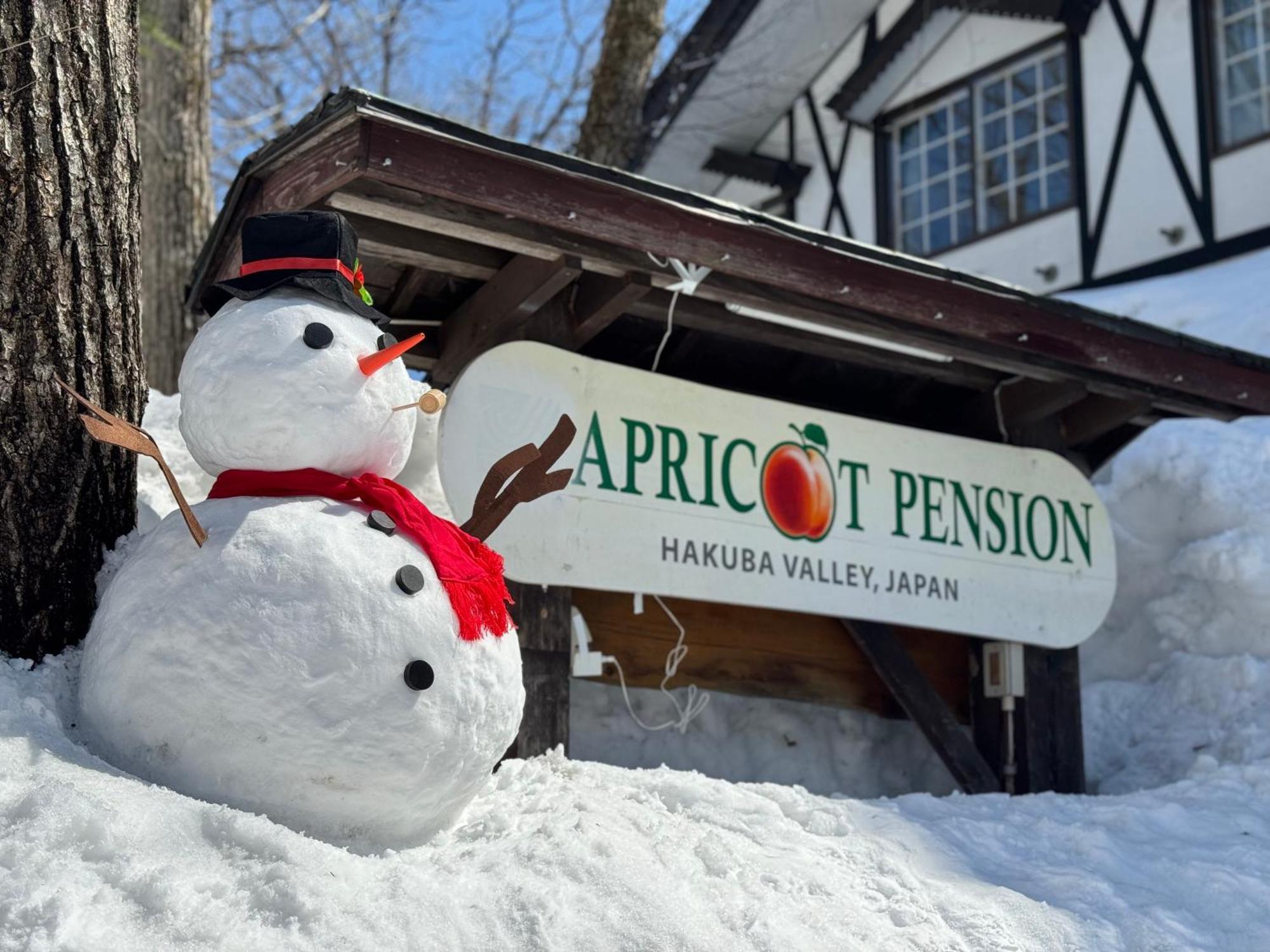 Apricot Pension Хакуба-Мура Экстерьер фото