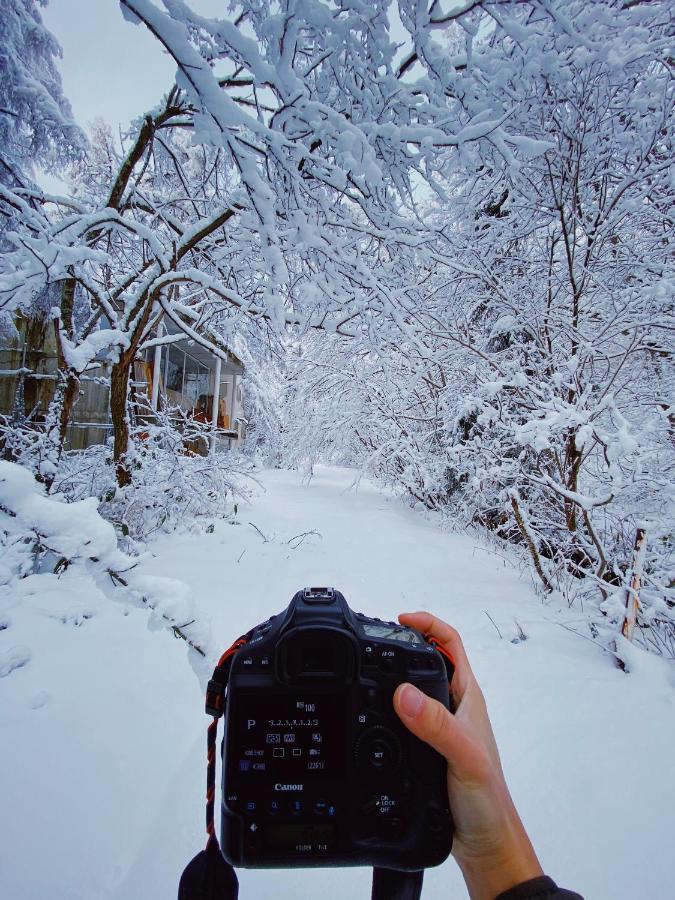 Apricot Pension Хакуба-Мура Экстерьер фото